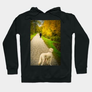 Dogs On The Trail 4 Hoodie